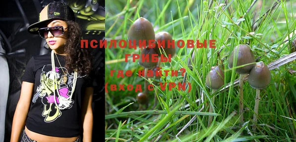 PSILOCYBIN Нея