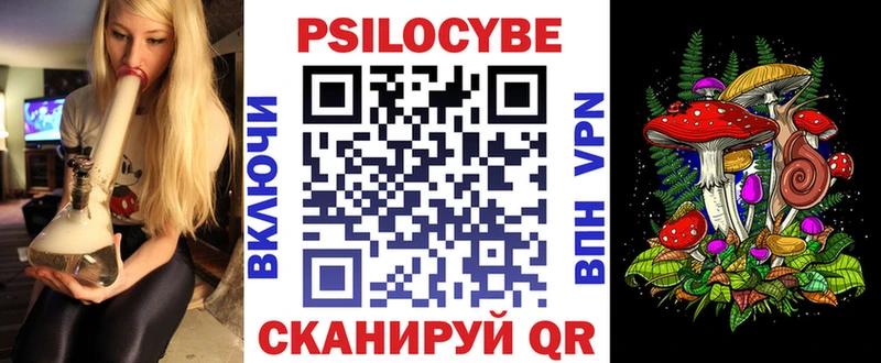Галлюциногенные грибы Psilocybine cubensis  Чегем 